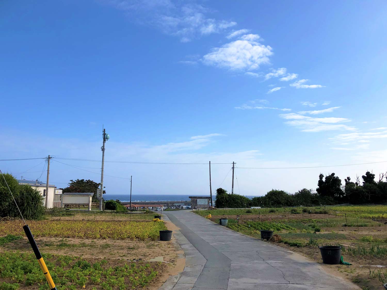 島の風景